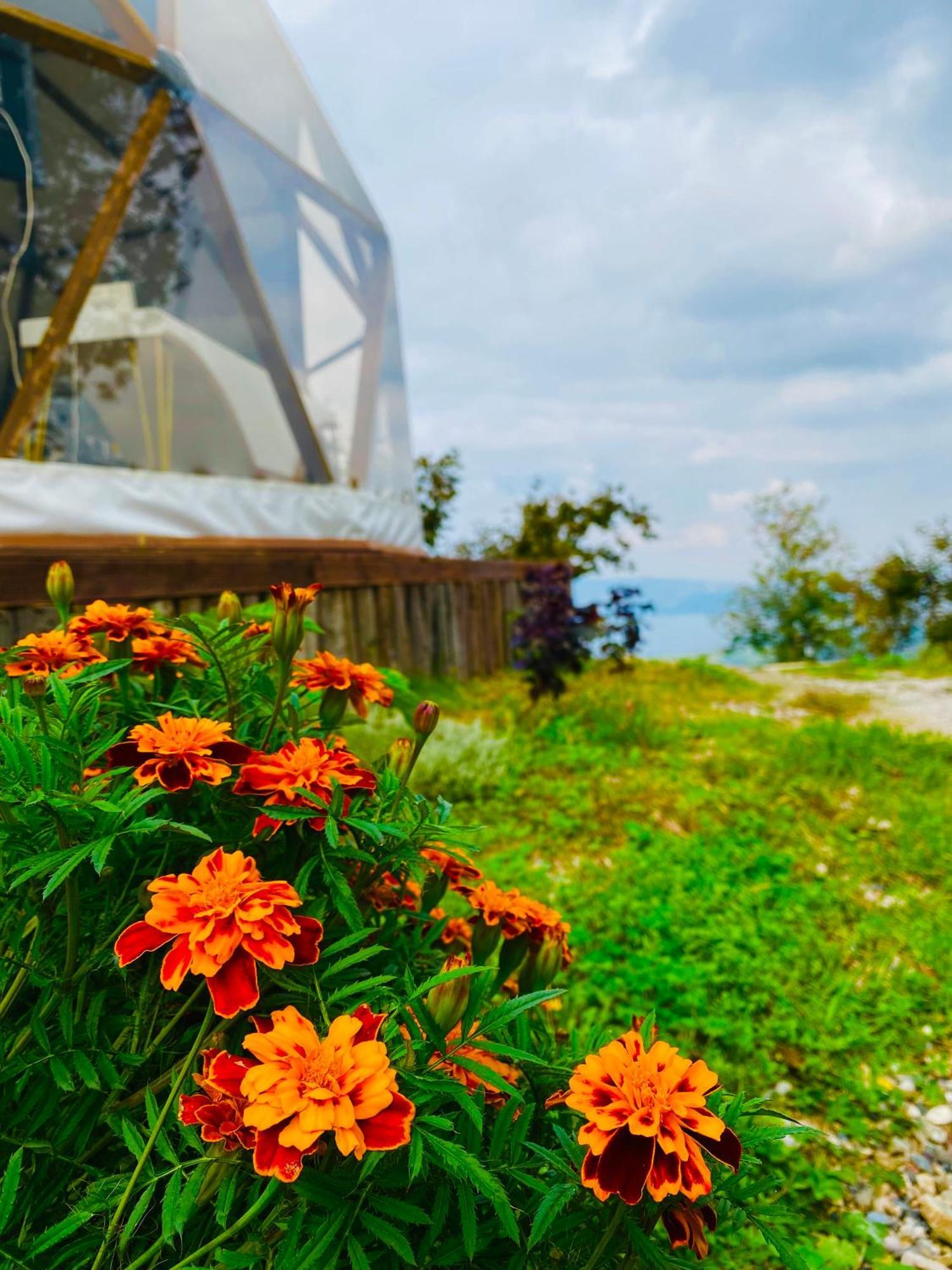 Phalesia Glamping Otel Sapanca Buitenkant foto