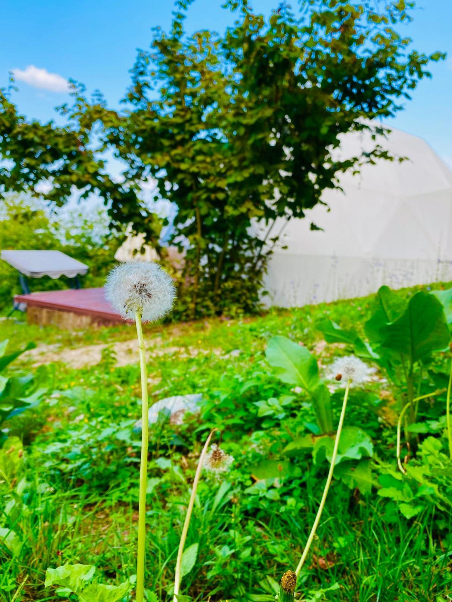 Phalesia Glamping Otel Sapanca Buitenkant foto